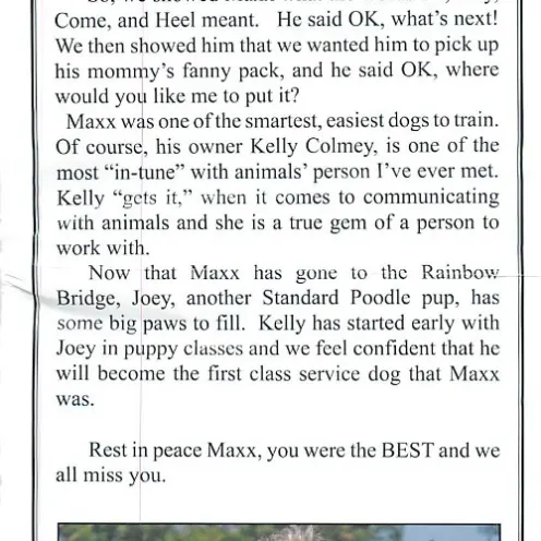 Maxx will forever be in our hearts! In Loving Memory